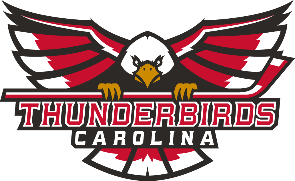 Carolina Thunderbirds 2017-Pres Primary Logo iron on transfers for clothing
